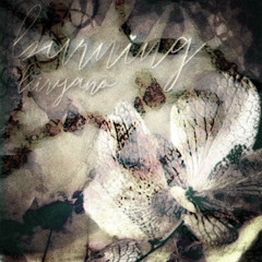 kiryano - burning (kojo)