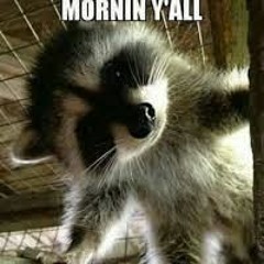 morningrescueeeeeeeeeeeeeeelolololololololololl
