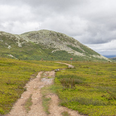 The Wandering Land