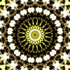 Chakra Symphony: Tune into Healing and Manifest Your Best Self