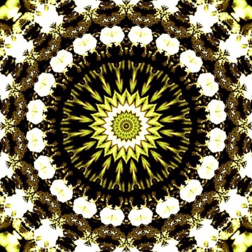 Chakra Symphony: Tune into Healing and Manifest Your Best Self