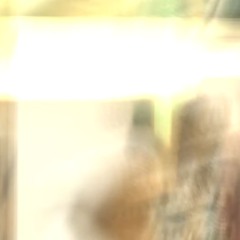 LIL DUDE - BIPPIN THE CITY