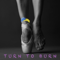 Turn To Burn | Davy Vance 🎸