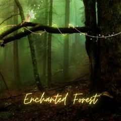 Enchanted Forest