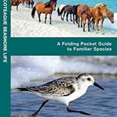 READ [PDF] Assateague/Chincoteague Seashore Life: A Folding Pocket Guide to Familiar