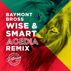 Baymont Bross Feat Javo Scratch & Dark Angel  - Wise & Smart (ACEDIA Remix)