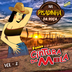 Pergunto Vai Vai Nega