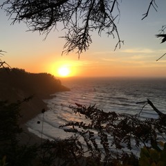 Back to Freedom [Free Download]