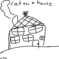 cat on a house