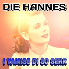 13 I VAMISS DI SO SEHR