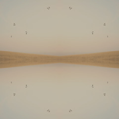 Flow State Dream #277