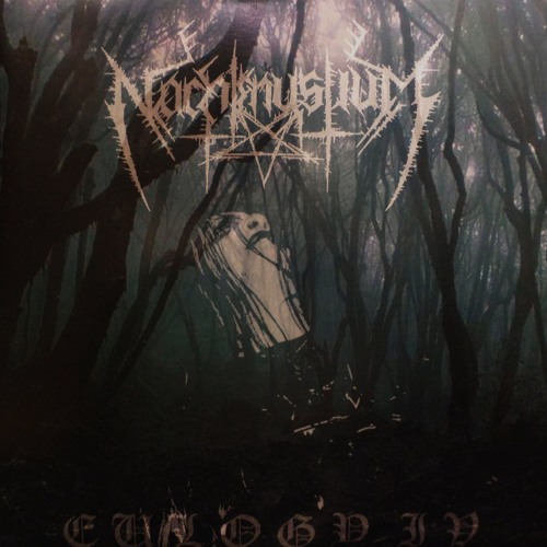 07 Stemmen Fra Tarnet (Burzum cover)