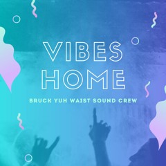Vibes Home - (((DJ. VEE))) - BYWSC