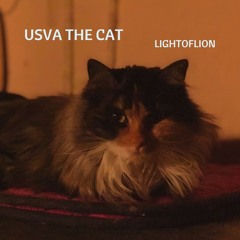 Usva The Cat