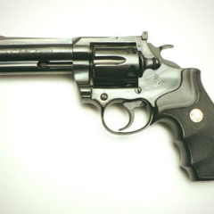357magnum p. webster