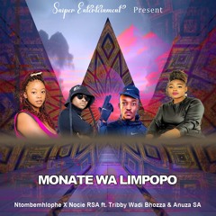Monate Wa Limpopo (feat. Tribby Wadi Bhozza & Anuza SA)