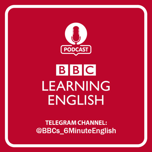 پادکست What’s the key to happiness?