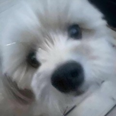 Théo mon héro [prod. compotlizergin x nighttiger]