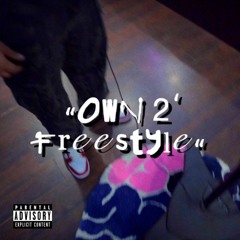 OWN 2 ' FREESTYLE prod abercromb.ie4sale