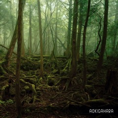 Aokigahara