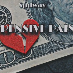 Expensive Pain