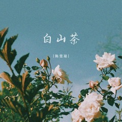 白山茶 (加长版)
