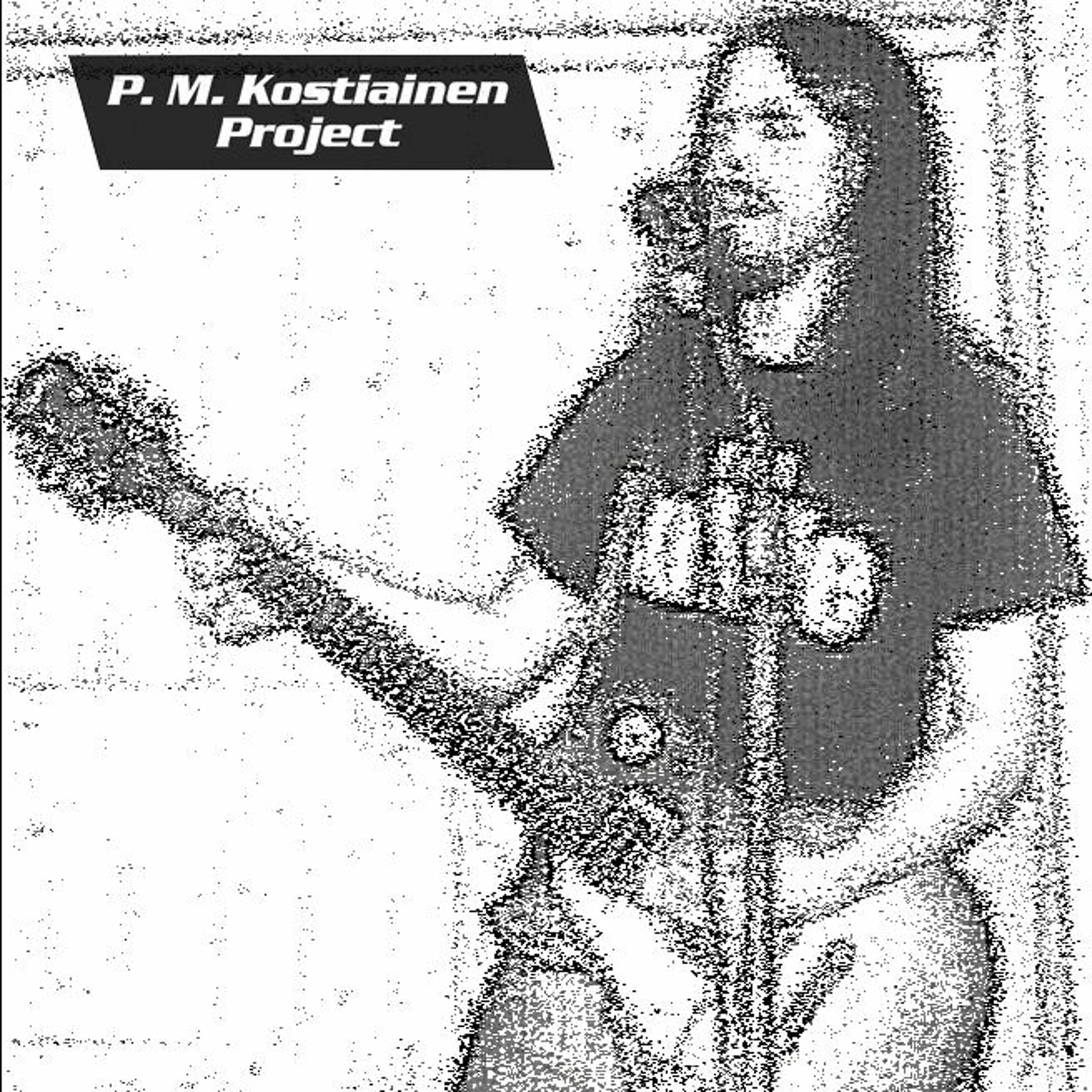 P. M. Kostiainen Project
