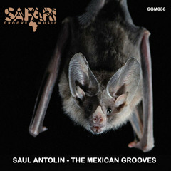 Saul Antolin - The Mexican Grooves (Original Mix)
