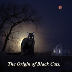 The Origin Of Black Cats