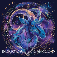 Indigo Owl - Capricorn