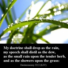 Deuteronomy 32 (Live 2-27-22) - Song of Moses