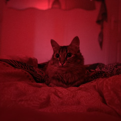 NUAGE NOIR- KAYDE ft Yugi (no mix)