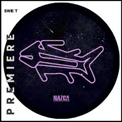 PREMIERE : Wild Dark - Naked Spirit (original Mix)[NAZCA]