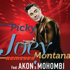 Picky (RLS & 2Frenchguys Extended Version) [feat. Akon & Mohombi]