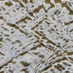 the gods are here now