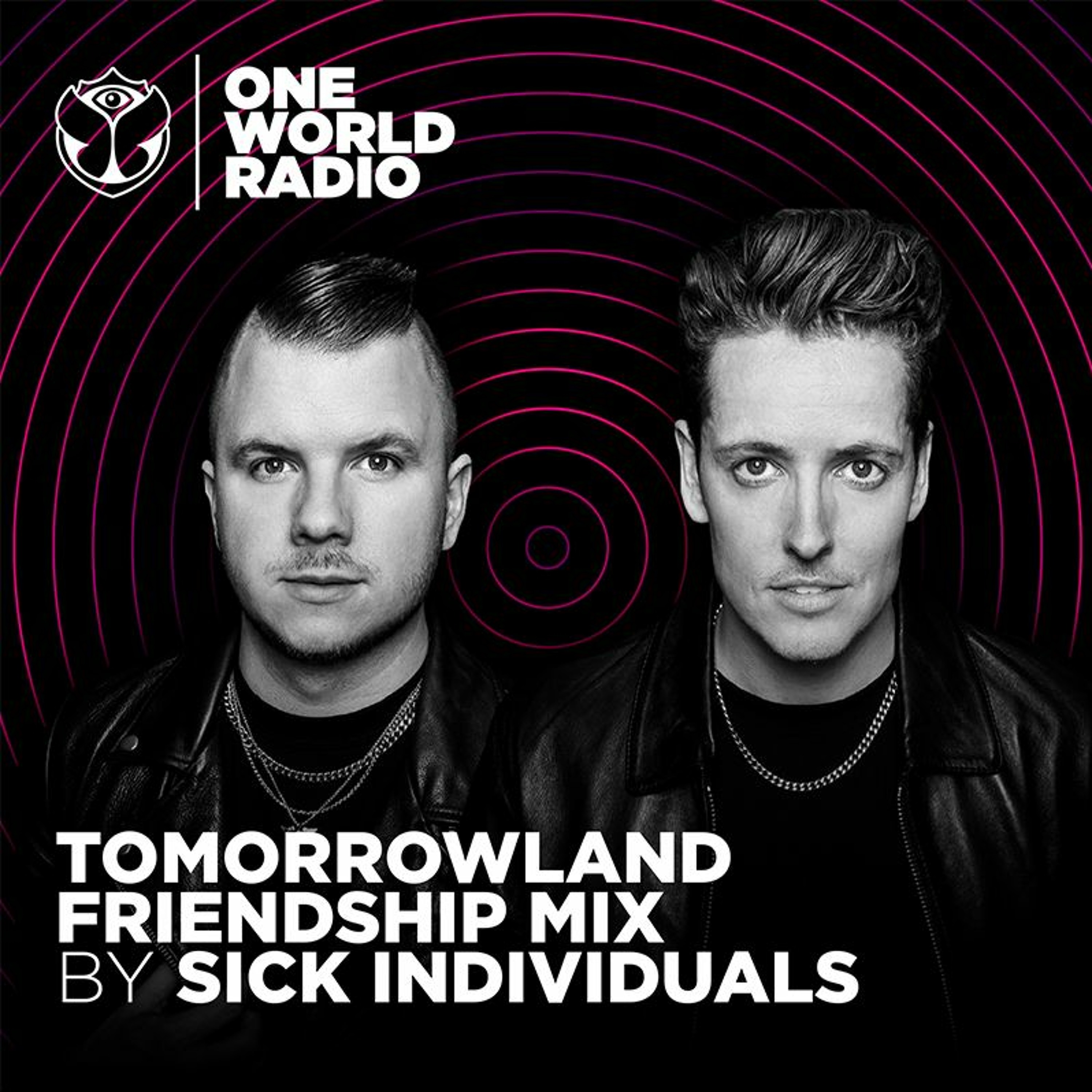 Tomorrowland Friendship Mix