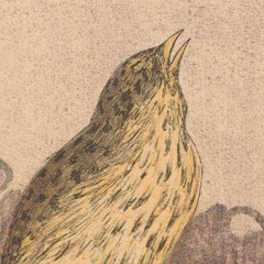 First Sounds Of The Day