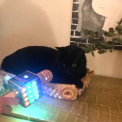 Shadow on Speaker: Livia Charman, Kayla Ephros, yves nuño