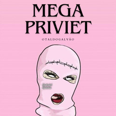 MEGA PRIVIET - DJ GABRIEL SC