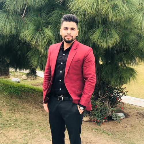 Next Level varinder brar