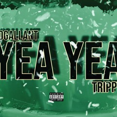 RoGallant Ft Trippy - YEA YEA