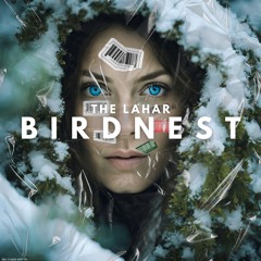 BIRDNEST #152