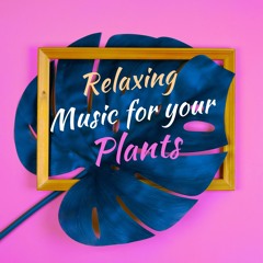 Relaxing Music For Your Plants