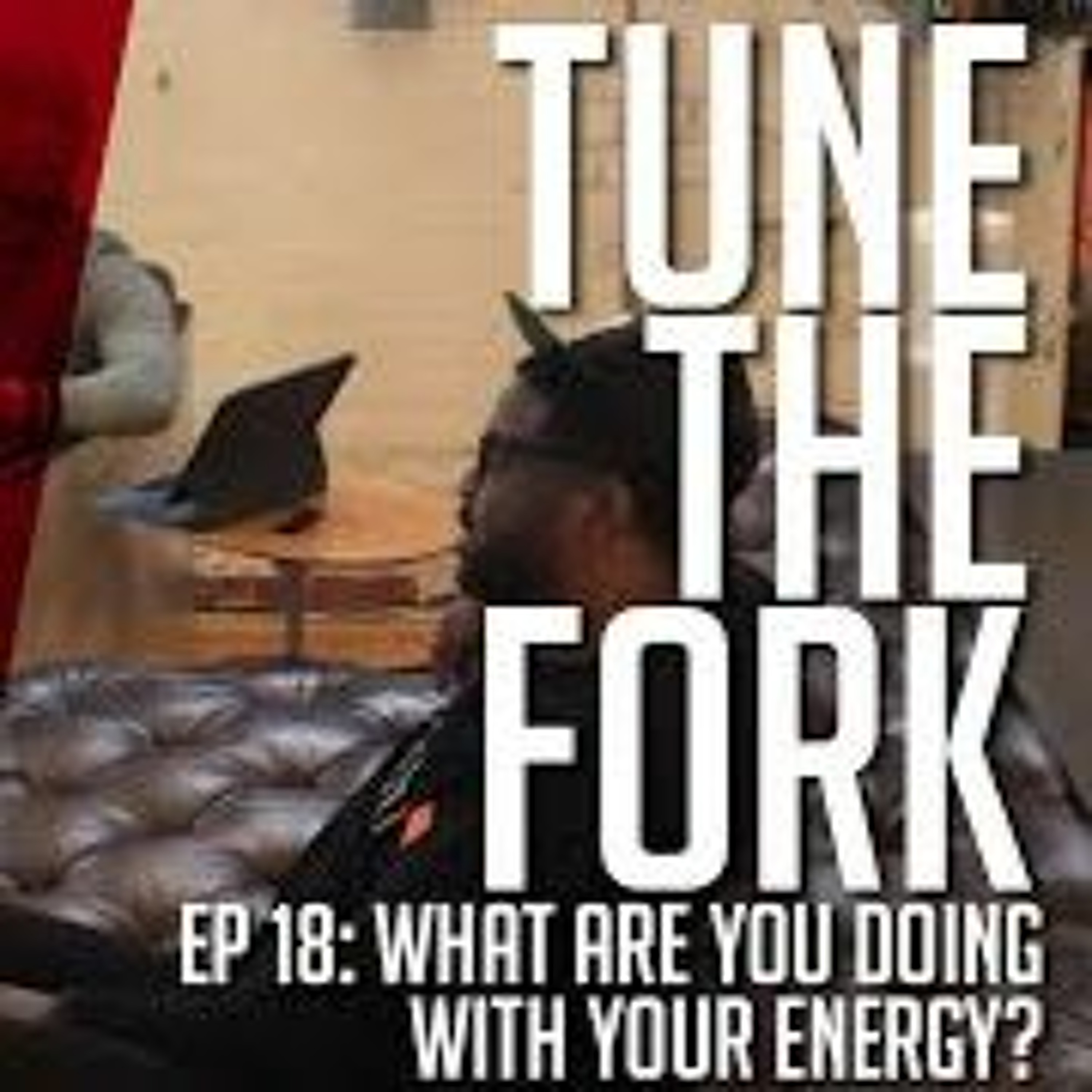 TuneTheFork Podcast