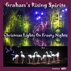 Christmas Lights On Frosty Nights