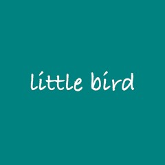 little bird