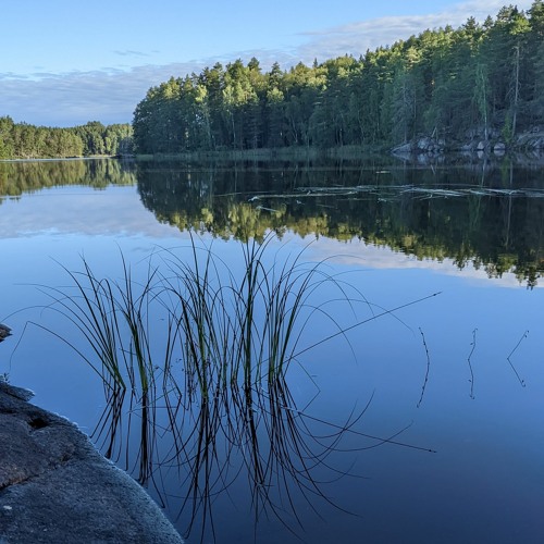 2022 Cranemaps Fieldrecordings Finland black woodpecker Echo