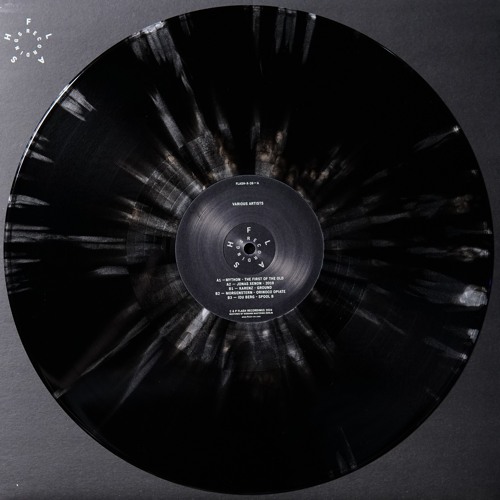 Jonas Xenon - 2019