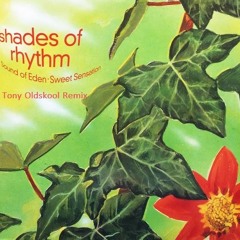 Shades Of Rhythm - Sound Of Eden (Tony Oldskool Remix) ***Free Download***