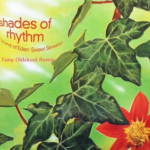 Shades Of Rhythm - Sound Of Eden (Tony Oldskool Remix) ***Free Download***